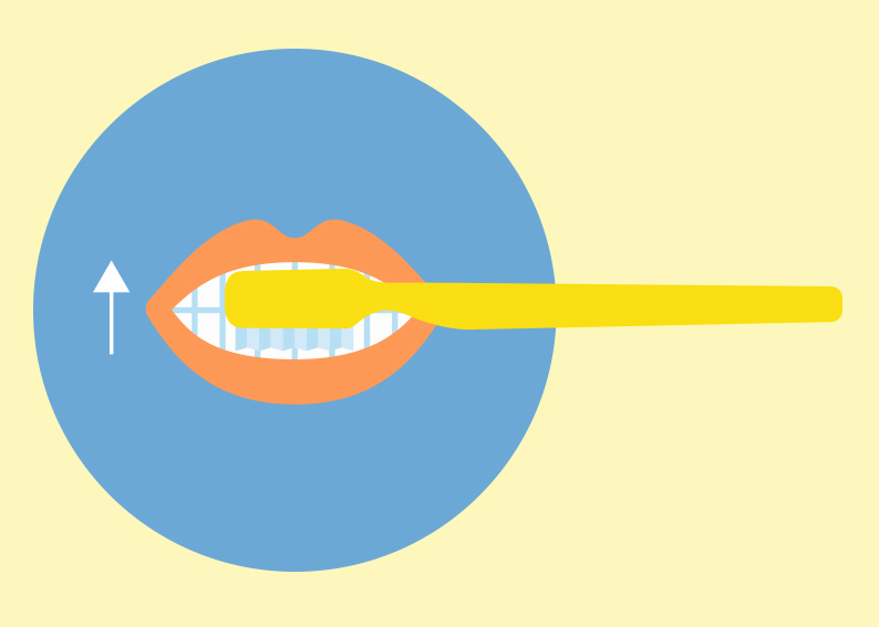 Forma de cepillar dientes de abajo