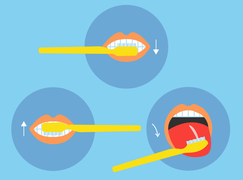 Pasos para cepillar los dientes correctamente