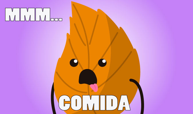 Mmm... Comida