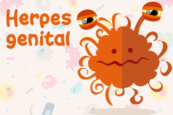 Herpes genital  Virus