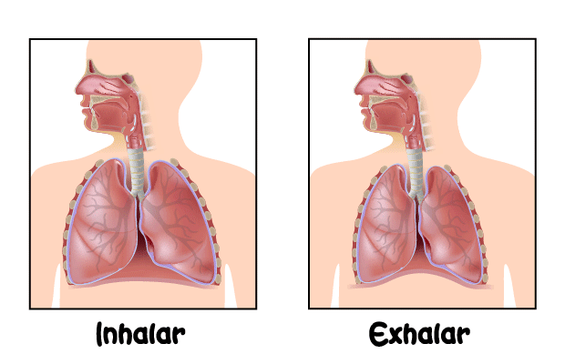 Inhalar Exhalar