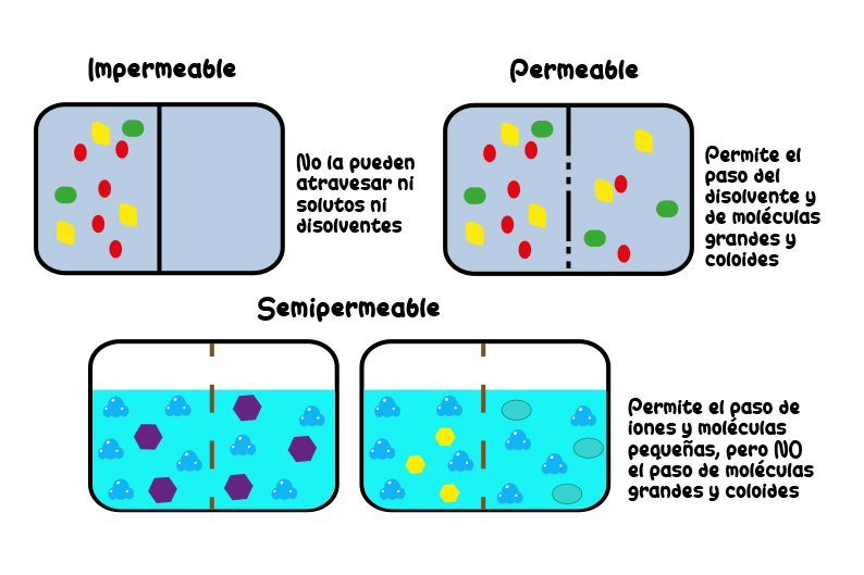 Tipos membranas Impermeble Permeable Semipermeable Permitir Dejar Pasar Mezclar Sustancias