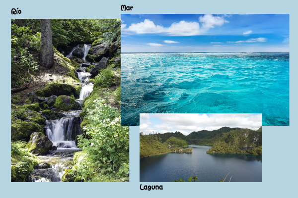 Río Mar Laguna