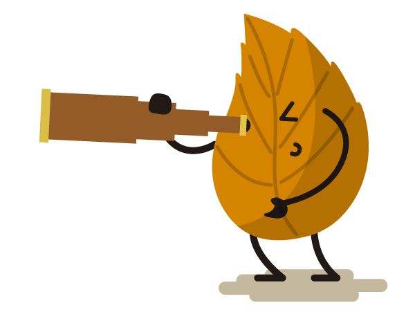 Hoja