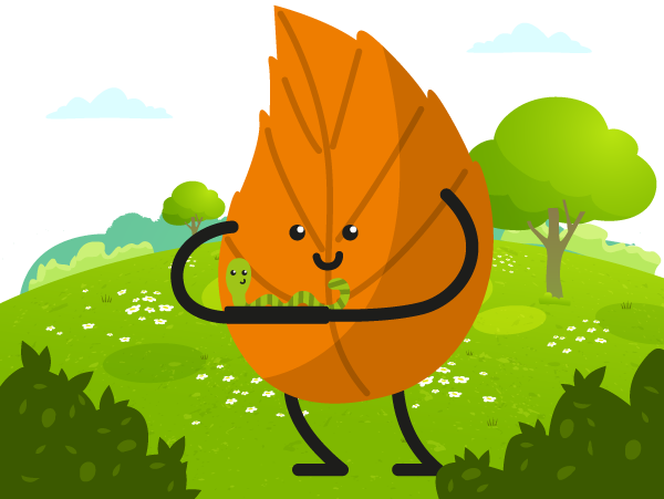 Hoja