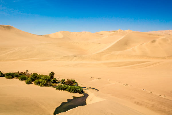 Desierto