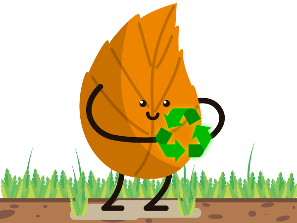 Hoja