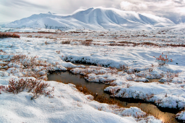 Tundra