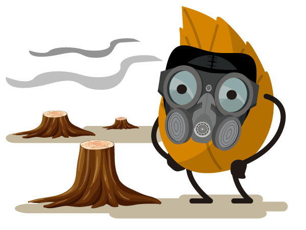Hoja