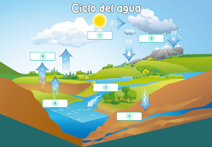 ciclo del Agua