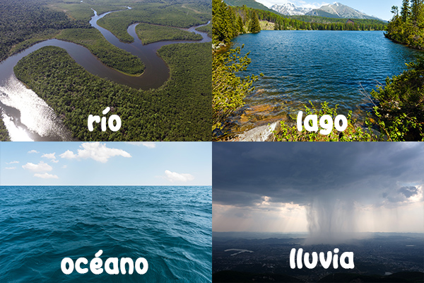 Estado líquido. En la Naturaleza el agua es líquida a temperatura ambiente; puedes encontrarla en océanos, lagos, ríos y como lluvia.