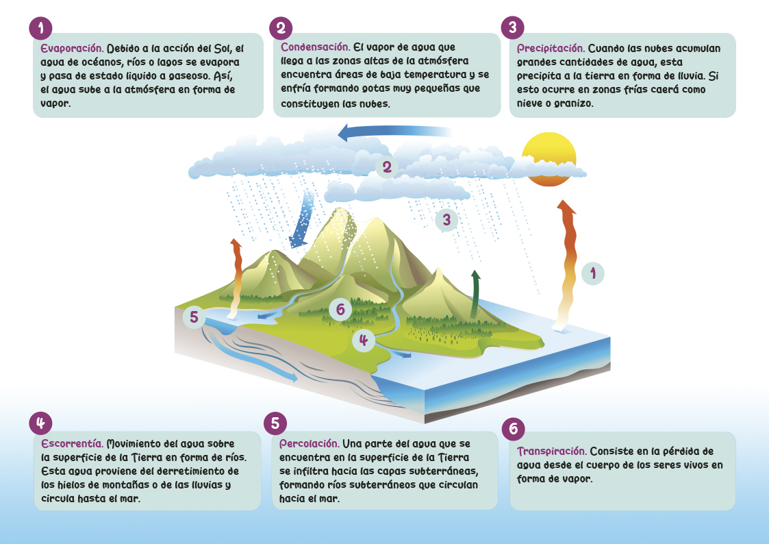 Ciclo Hidrológico Agua Evaporación Condensación Precipitación Escorrentía Percolación Transpiración
