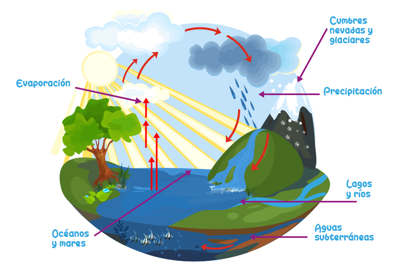 Ciclo Hidrológico Agua Evaporación Cumbres Nevadas Glaciares Lagos Ríos Océanos Mares Subterráneas Precipitación
