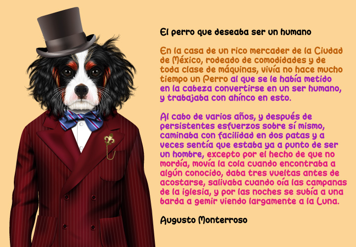 Perro Humano Humanizado Sombrero Saco Moño Augusto Monterroso Cuento