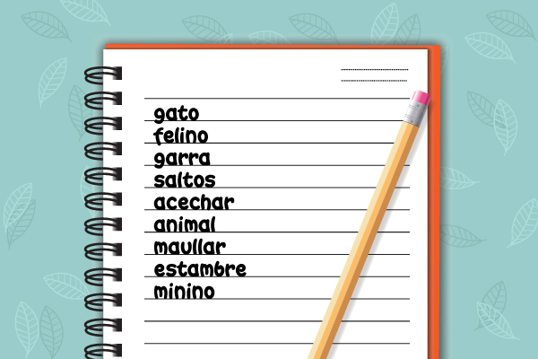 Lista de palabras relacionadas