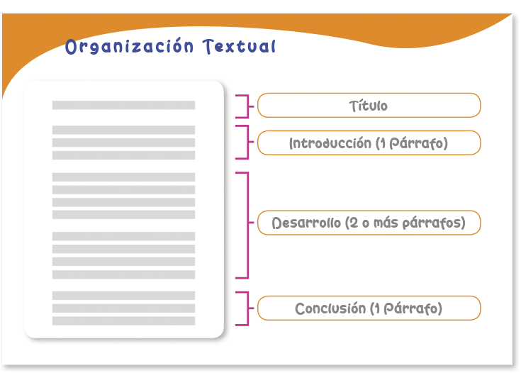 Cuadro Organización Textual