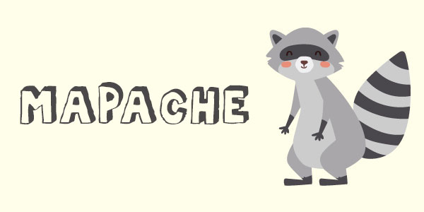 Mapache