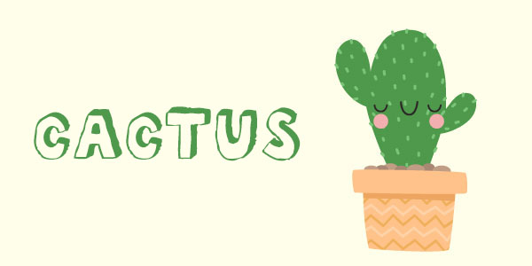 Cactus