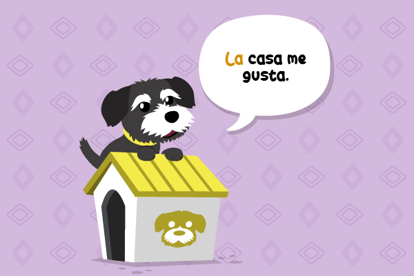 Perro sobre su casa diciendo La casa me gusta