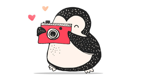 Pingüino con cámara de fotos