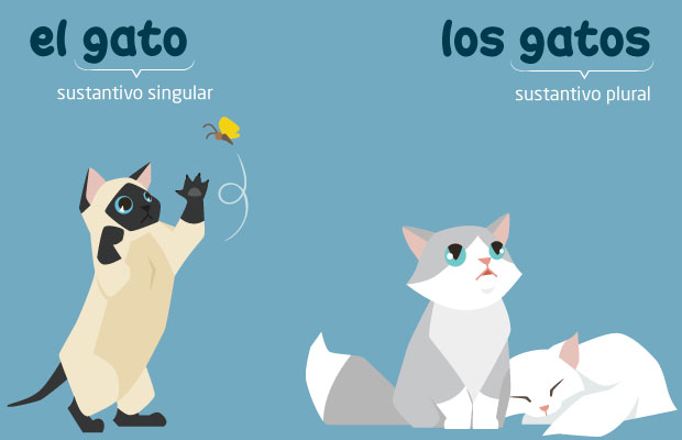 Sustantivo en gatos
