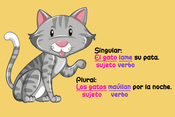 Singular: El gato lame su pata. Plural: Los gatos maúllan por la noche