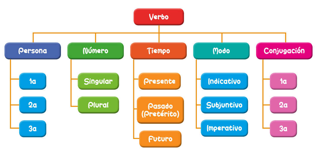 Verbo Diagrama Esquema Persona Número Tiempo Modo Conjugación  Singular Plural Presente pasado Futuro Indicatvo Subjuntivo Imperativo