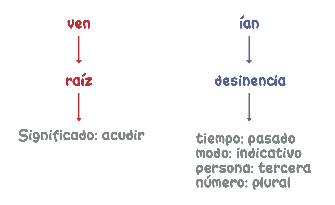 Verbo Venir Conjugación Ven Significado Acudir Esquema Diagrama Raíz Desinencia Tiempo Modo Persona Número