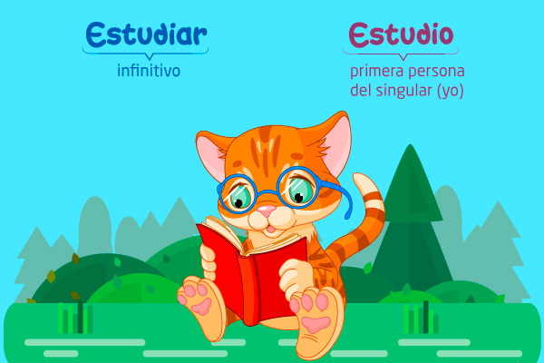 Gato. Estudiar: infinitivo. Estudio: primera persona del singular (yo)