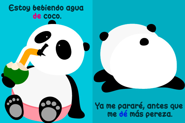 Oso, panda, beber, agua, coco, acostado, dormir
