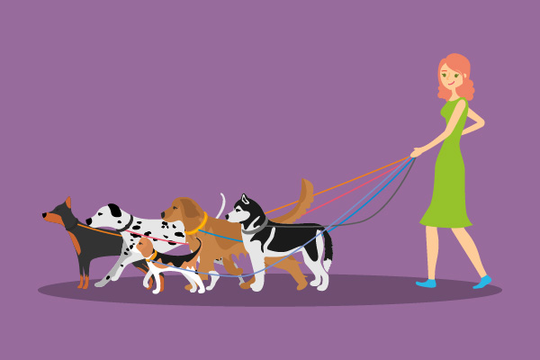 Paseadora de perros