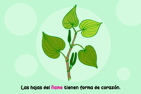 Ñame