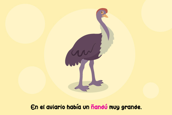 Ñandú