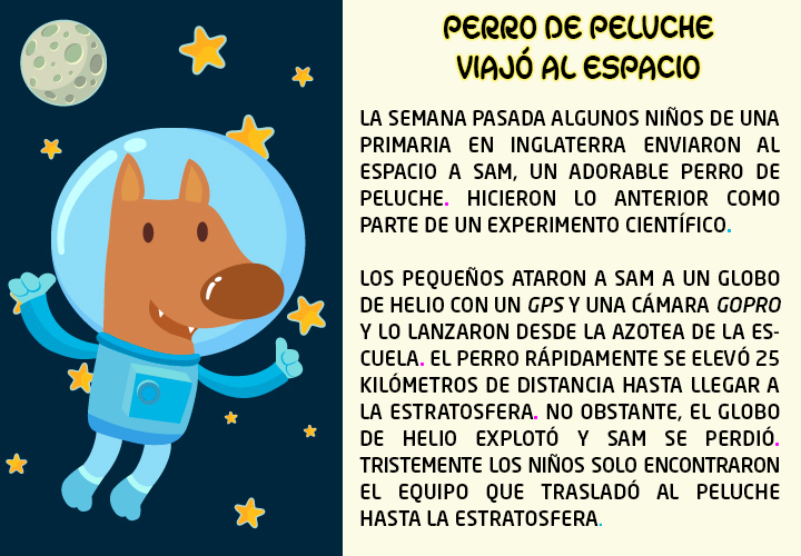 PERRO ASTRONÁUTA EN EEL ESPACIO