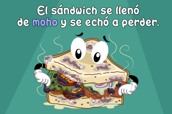 El sándwich de llenó de mohó y se echó a perder.