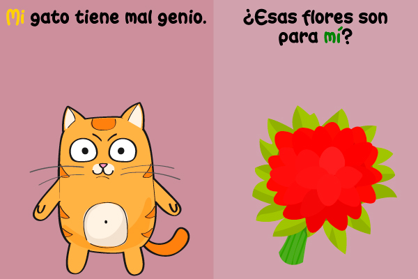Gato Mi Adjetivo Posesivo Flores Mí Pronombre Personal