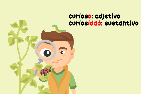 Niño Observar Lupa Insectos San Antonio Mariquita Sufijos Formación Sustantivo Ejemplo Curioso Curiosidad