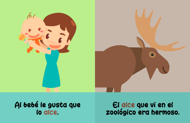 Homógrafos Alce al bebé Niña Alce Animal