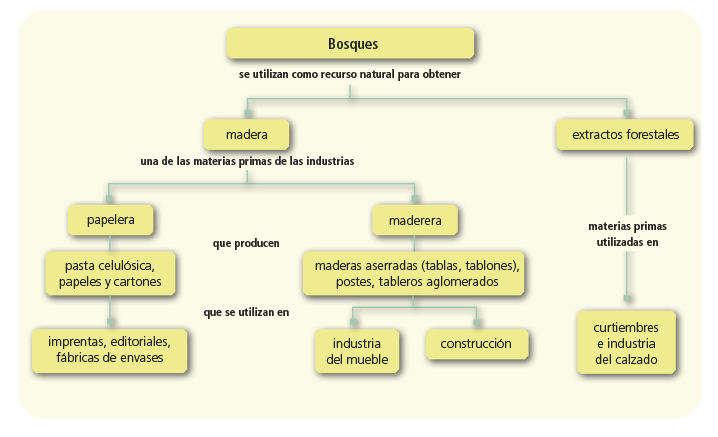 Mapa conceptual, ejemplo