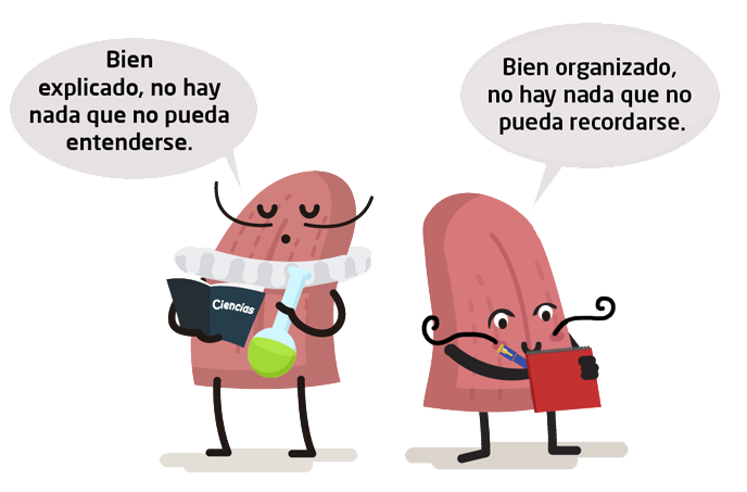 Personaje lengua