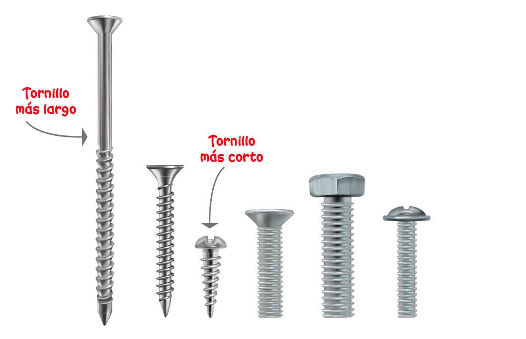 Tornillos de diferentes tamaños