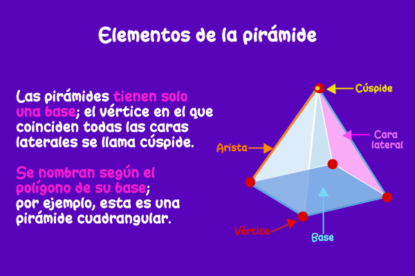 Elementos de la pirámide. Las pirámides tienen solo una base; el vértice en el que coinciden todas las caras laterales se llama cúspide. Se nombran según el polígono de su base; por ejemplo, esta es una pirámide cuadrangular.