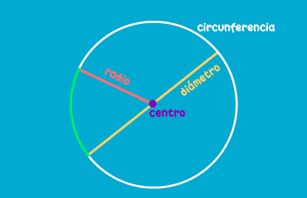 Elementos de la circunferencia