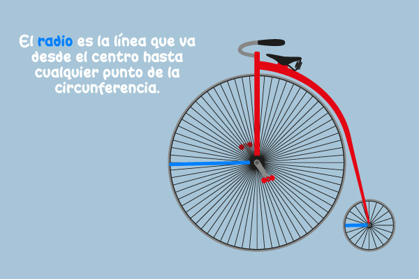 El radio es la línea que va desde el centro hasta cualquier punto de la circunferencia.