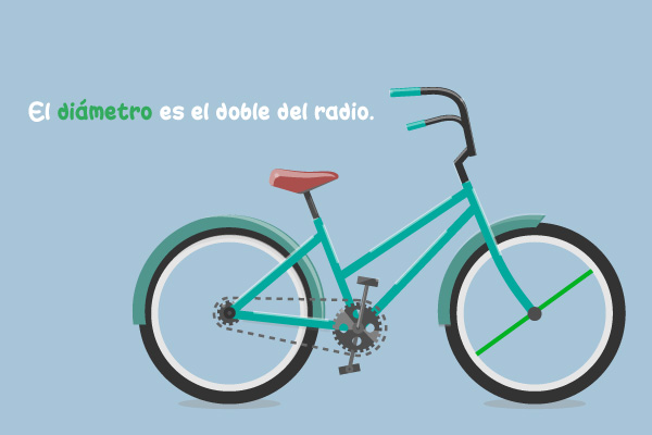 El diámetro es el doble del radio.