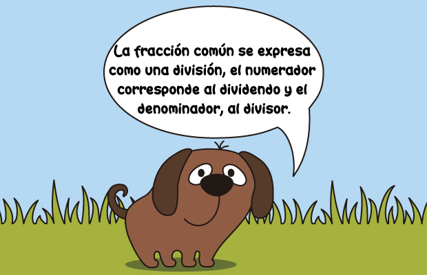 La fracción común se expresa como una división, el numerador corresponde al dividendo y el denominador, al divisor.