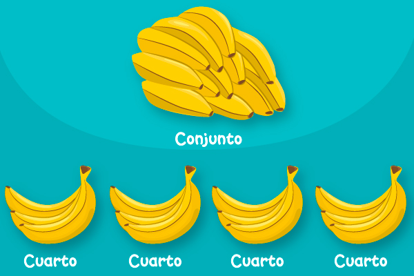 Cuartos de conjunto de bananas
