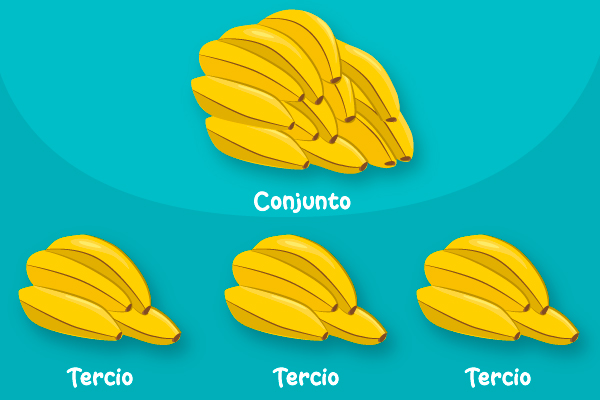 Tercios de conjunto de bananas
