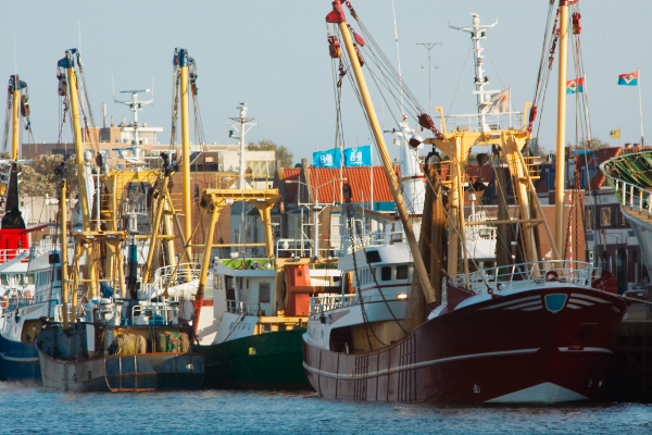 Puerto, barcos