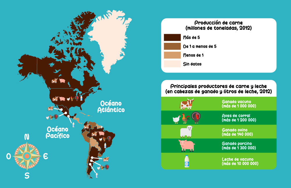 Producción de carne en el continente americano